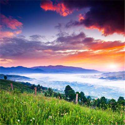 云南：树立大农业观、大食物观，加快建设特色农业强省